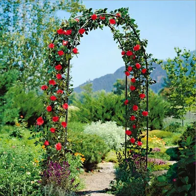 Image de FATIVO Arceau pour rosiers en métal 240 x 140 x 37 cm – Pergola, tuteur, treillis, arceau pour jardin