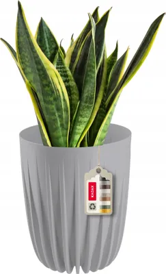 Zdjęcie produktu dla Plastikowa doniczka KADAX "Costa", z naturalnych materiałów, doniczki na rośliny, z wkładem, 15 cm, szara