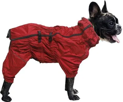Immagine prodotto di Giacca impermeabile per cani Unyqoos® in nylon, con colletto alto e strisce riflettenti, colore rosso, taglia XXXL (torace 70–90 cm, collo 52–69 cm, dorso 56–59 cm)