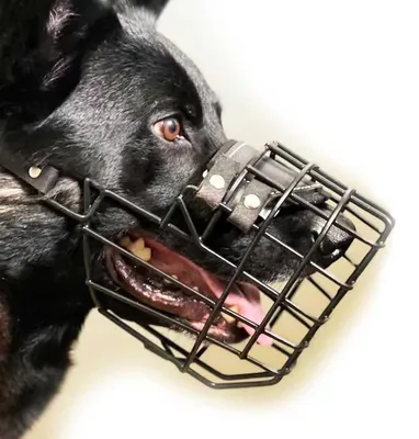 Produktbild von Professioneller Hundemundkorb – Robuster Drahtkorb, schwarz