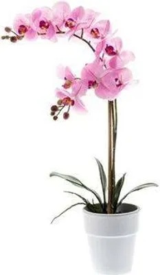 Produktbild von artplants.de Künstliche Orchidee Phalaenopsis Candida, 2 Zweige, rosa, im Topf, 65cm - Kunst Blume - Deko Pflanze