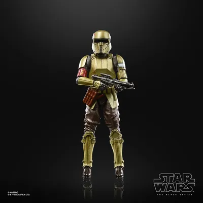 Produktbild von Hasbro Star Wars: The Mandalorian - Black Series - Shoretrooper Carbonized