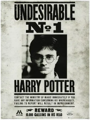 Image de Harry Potter - Undesirable N°1 - Art Print - 30x40cm - Affiche Poster