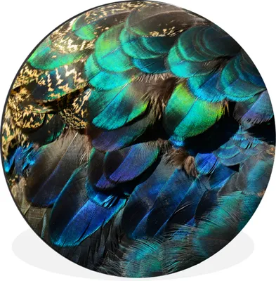Produktbild von MuchoWow® Aluminium Wandkreis Federn - Pfauenfedern - Pfau - Blau - Kunst Ø 30 cm Wanddeko Modern Wohnzimmer - Wand Bild - Wohnzimmer - Runde Bilder - Alubilder - Kunst für zu Hause - Aluminium - Wanddekoration