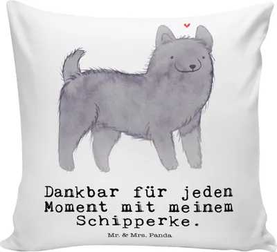 Produktbild von Mr. & Mrs. Panda kissen für sofa Schipperke Moment - Weiß - Geschenk, Belgische Hunderasse, kuschelkissen 40x40, Deko, Sofakissen, Zierkissen, Dekokissen