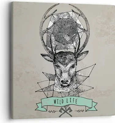 Produktbild von Bild auf Leinwand - Leinwandbild - Hirsch Geweih Wald - 40x40cm - Wand Bild - Wanddeko - Wandbilder - Leinwanddruck - Bilder - Kunstdruck - Wanddekoration - Leinwand bilder - Wandkunst - AC40x40-3072
