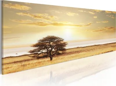 Produktbild von Modernes Wandbild 9050030 (120x40) - 1 Teilig Bilder Fotografie auf Vlies Leinwand Foto Bild Dekoration Wand Bilder Kunstdruck