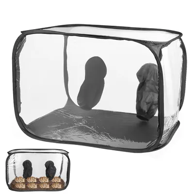 A transparent pop-up tent for growing mushrooms, shown with a smaller inset image of the tent containing mushrooms.