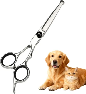 Imagen del producto de Tijeras para peluquería con puntas redondeadas, de acero inoxidable, unidad individual, para el cuidado del pelaje de perros y gatos
