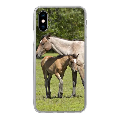 Produktbild von MuchoWow® Handyhülle Schutzhülle Hülle für iPhone X Pferde - Gras - Schatten Silikon Softcase Handy Hülle - Handyhülle
