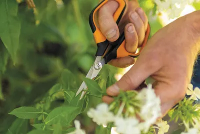 Image de Sécateur Solid Snip SP15 FISKARS