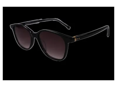 Obrázok produktu pre Plastové slnečné okuliare Robinson 4741-07