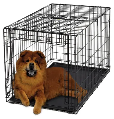 Productafbeelding van MidWest Homes for Pets, transportbox voor honden, model "Ovation", met deur, inklapbaar