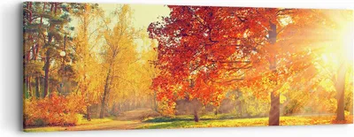 Produktbild von Bild auf Leinwand - Leinwandbild - Park Herbst Baum - 90x30cm - Wand Bild - Wanddeko - Wandbilder - Leinwanddruck - Bilder - Kunstdruck - Wanddekoration - Leinwand bilder - Wandkunst - AB90x30-3654