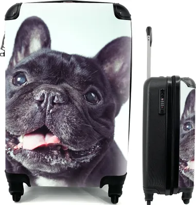 Produktbild von MuchoWow® Koffer Handgepäck Trolley Rollkoffer Kleine Reisekoffer mit 4 Rollen - Französische Bulldogge - Schwarz - Stuhl - Cabin Size < 55x40x23 cm & 55x40x20 cm - Fotokoffer - Kabinenkoffer - Boardgepäck - Reise-Box - Reisekoffer - Reisegepäck - Koffer mit Bild - Trolley für Kinder