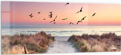 Produktbild von DEQORI Küchenrückwand Glas 125x50 cm 'Strandaufgang zur Ostsee' Spritzschutz Bad Rückwand
