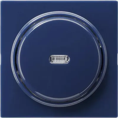 Zdjęcie produktu dla GIRA 012246, Niebieski, 250 V, 10 A