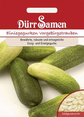 Produktbild von Dürr-Samen - Einlegegurken Vorgebirgstrauben - Saatgut - 0019