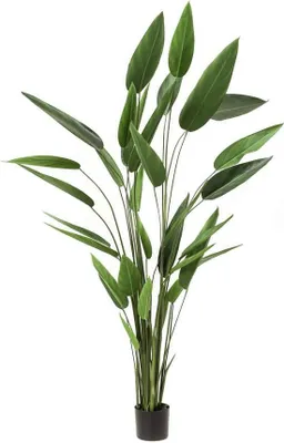 Produktbild von artplants.de Kunstpflanze Heliconia ANURIA, 32 Blätter, grün, 220cm - Deko Helkonien