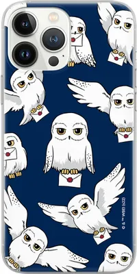 Produktbild von ERT GROUP Harry Potter Handyhülle für XIAOMI MI 10T 5G / MI 10T PRO 5G Muster Harry Potter 241 WPCHARRY75643
