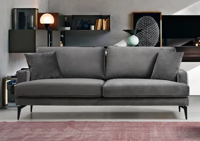 Produktbild von Hanah Home, Papira- ARE1309, Grau, Schlafsofas, Rahmen: Buchenholz / Spanplatte