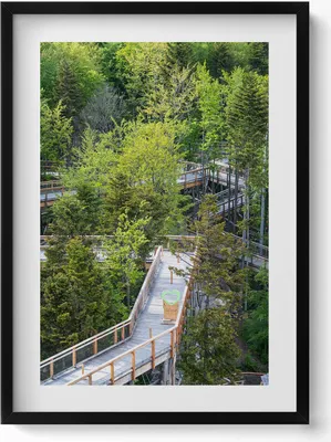 Produktbild von Ein Weg in Krynica Zdrój– Wandbild mit Rahmen – Gerahmtes Bild  – Wanddekoration – 50x70 cm –  Schwarz Rahmen