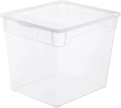 Immagine prodotto di Rotho Clearbox 4102094094