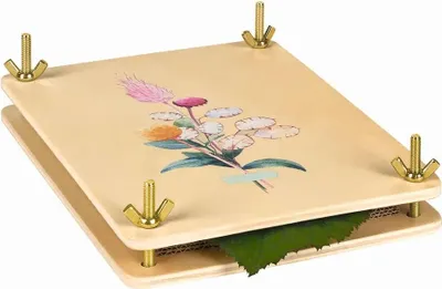 Produktbild von moses. Blatt & Blüte Blatt- und Blütenpresse