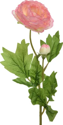 Produktbild von Kunstblume Ranunkel H57cm zartrosa