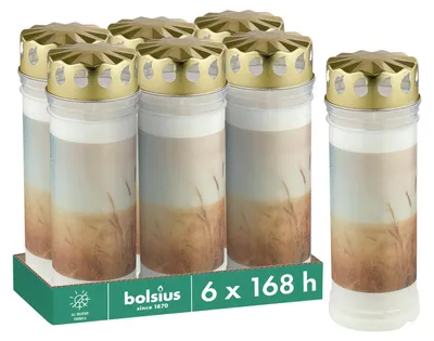 Productafbeelding van Bolsius grafkaars - Wit - 6 stuks - 7,5 x 20 cm - Brandduur: 168 uur