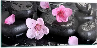 Produktbild von Bilder auf glas - Blumen Steine Tropfen Spa - 120x50cm - Glasbilder - Wandbilder - Kunstdruck - zum Aufhängen bereit - Wanddekoration aus Glas - Glas Bilder - Wandbild auf Glas - GAB120x50-2714