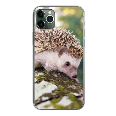 Produktbild von MuchoWow® Handyhülle Schutzhülle Hülle für iPhone 11 Pro Max Baby - Igel - Baum Silikon Softcase Handy Hülle - Schutz