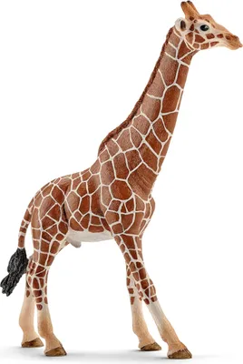 Produktbild von Schleich Wild Life - Männliche Giraffe, Figur für Kinder ab 3 Jahren