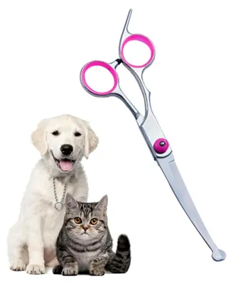 Produktbild von Hunde Scheren, Hundepflegeschere mit runder Sicherheitsspitze, gebogene Schere für Hunde und Katzen