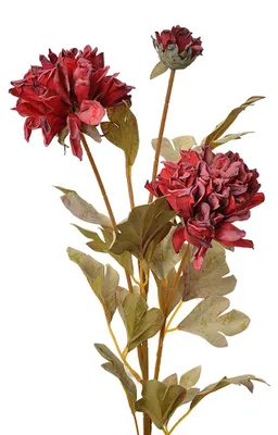 Imagen del producto de Clayre & Eef, flor artificial, 68 cm, color rojo, plástico