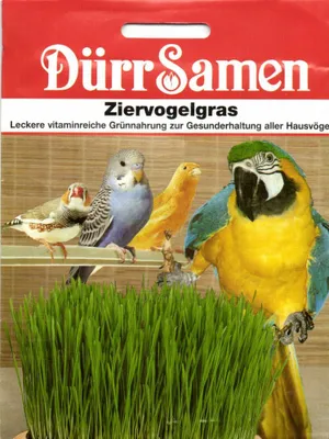 Produktbild von Ziervogelgras | Ziervogelgräsersamen von Dürr Samen