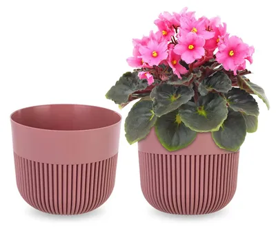 Immagine prodotto di Vaso da fiori KADAX Ø 13 cm, fioriera con struttura scanalata per uso interno ed esterno, vaso per piante in plastica, fioriera per piante da interno (rosa)