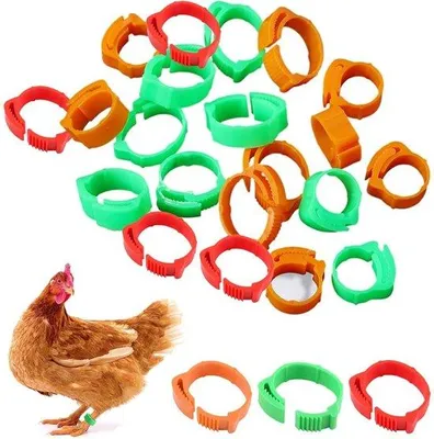 Productafbeelding van Vogelringen voor dierenbescherming, set van 60 stuks - van staal
