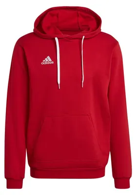 Produktbild von adidas Entrada 22 Sweat Hoodie M TEPORE