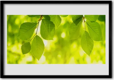 Produktbild von Bild 100x70 MDF-Rahmen Wandkunst Blätter auf Wand