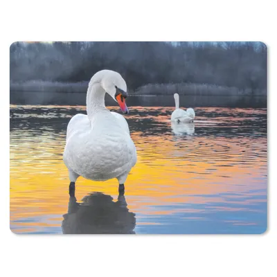Produktbild von MuchoWow® Mauspad Mousepad Schwan - Vogel - Sonnenuntergang - Wasser 40x30 cm - Mousepads - Maus Mat - Pad - Mausunterlage - Anti Rutsch