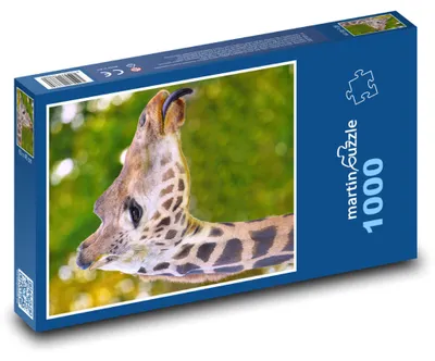Zdjęcie produktu dla Puzzle 1000 Żyrafa na wolności - martinpuzzle