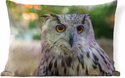 Produktbild von MuchoWow® Outdoor Kissen - Braune Eule auf einem Baumstumpf sitzend - 60x40 cm - Wetterfest - Lounge Kissen - Zierkissen - Kissen für Innenräume