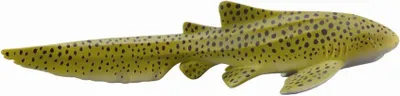 Image de Collecta - Tiburon Cebra -M- 88614 (90188614) COLECTA