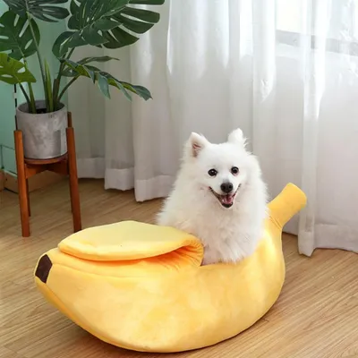 Produktbild von Katzenbett Hundebett Haustierbett Tierbett Kuschelbett Schlafplatz Katzenkissen Haustiermöbel für Katzen Welpen und kleine Hunde Gelb 65 x 25 x 18 CM