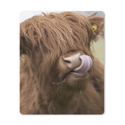 Produktbild von MuchoWow® Mauspad Mousepad Schottischer Highlander - Braun - Tiere 19x23 cm - Mousepads - Maus Mat - Pad - Mausunterlage - Mauspads - Spielen