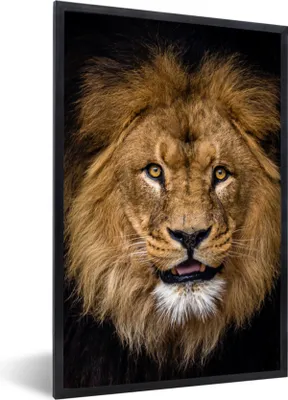 Produktbild von MuchoWow® Gerahmtes Poster Löwe - Porträt - Schwarz - Tiere 60x90 cm - Poster mit Schwarzem Bilderrahmen Wandposter Rahmen Foto Bilder - Kunst