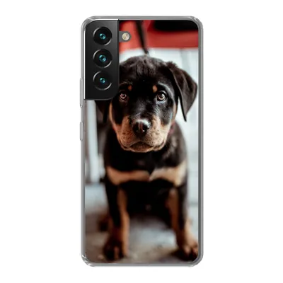 Produktbild von MuchoWow® Handyhülle Schutzhülle Hülle für Samsung Galaxy S22 Jung - Hund - Kamera Silikon Softcase Handy Hülle - Mobiltelefonhülle