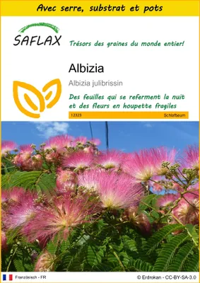 Image de SAFLAX Ensemble de culture - Albizia - 50 graines - Albizia