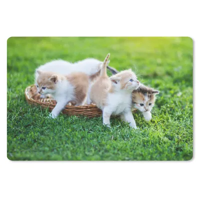 Produktbild von MuchoWow® Mauspad Mousepad Kätzchen - Katze - Korb - Mädchen - Kinder - Jungen - Kinder 27x18 cm - Mousepads - Maus Mat - Pad - Mausunterlage - Büroartikel - Desk Matten